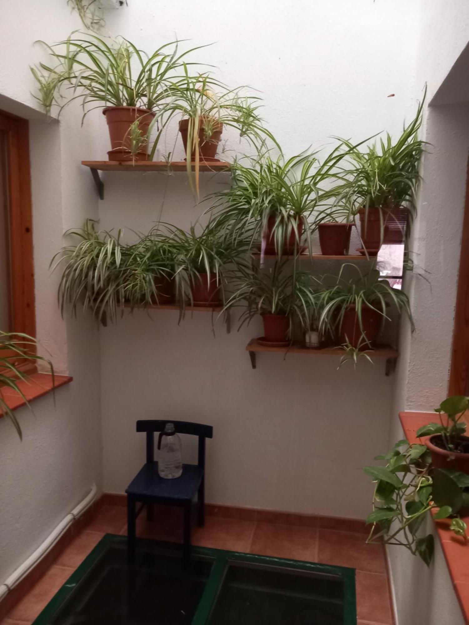 Hostal Cal Manyo Puigvert de Lérida Exterior foto